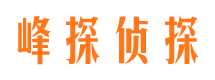 谢家集维权打假